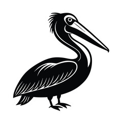 Pelican Vector Illustration
