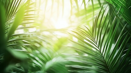 Lush Green Tropical Leaves in Sunlight