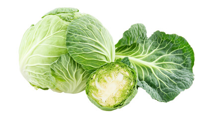 Fototapeta premium Fresh green cabbage, vibrant leafy vegetable, perfect for salads or cooking, showcasing crisp texture and healthy appeal. Isolated on white background or PNG