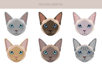 Mekong Bobtail Cat clipart. All coat colors set.  All cat breeds characteristics infographic. Vector illustration