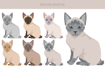 Mekong Bobtail Cat clipart. All coat colors set.  All cat breeds characteristics infographic. Vector illustration
