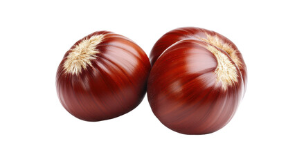 Obraz premium Glossy red chestnuts, smooth surface, rich brown undertones, perfect for autumn decor or seasonal recipes. Isolated on white background or PNG