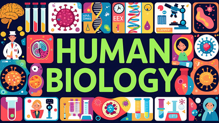 Colorful Educational Illustration of Human Biology with Icons and Collage Elements