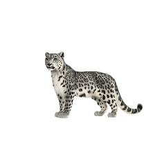 Obraz premium Majestic Snow Leopard Standing in a Natural Pose