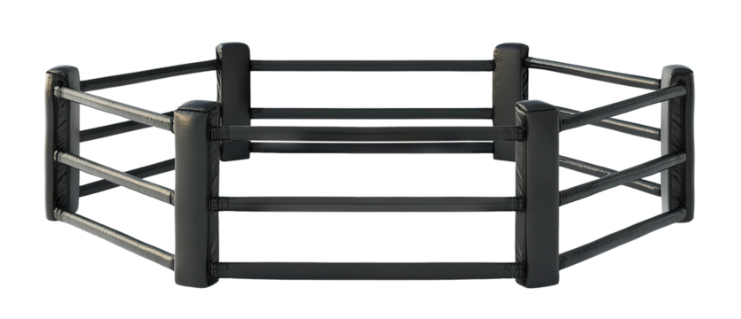 MMA style hexagonal fighting ring with black ropes and posts, isolated on transparent cutout background