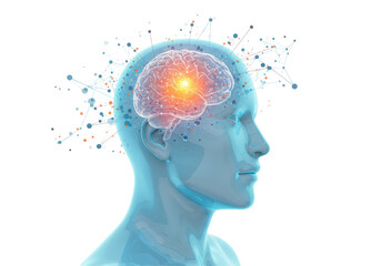 Isolated Human Brain with Glowing Neural Network