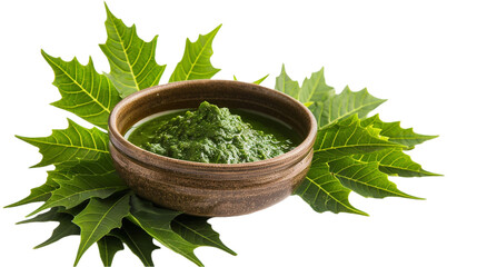 A close shot of neem leave with bowl of neem baste over plain transparent backdrop or PNG for herbal product type poster or graphic use, Generative AI.