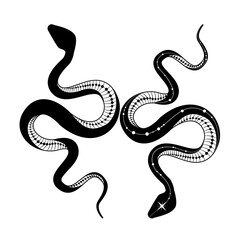 A stylized silhouette of a snake showing off its elegant curves in a playful doodle style design.
