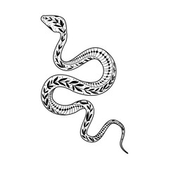 A stylized silhouette of a snake showing off its elegant curves in a playful doodle style design.