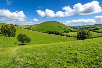 Fototapeta premium gorgeous rural landscape in mountains fields and meadows on hills rolling in to the distant ridge trees in fresh green foliage nature scenery on a sunny day in spring fluffy clouds on the sky