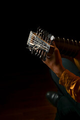 Neck of a lute, baroque instrument