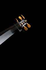 Neck of a theorbo isolated on a black background