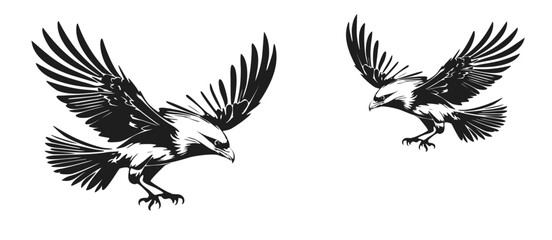 Flying Eagle Silhouette in Monochrome Vector Art