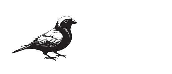 BIRD 5.eps
