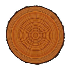 Fototapeta premium a cut tree trunk with clear annual rings isolated on transparent background