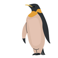 Emperor penguin icon clipart avatar logotype isolated illustration