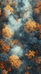 A serene close-up view of a foggy forest, showcasing a dense arrangement of trees shrouded in mist, creating an ethereal atmosphere.