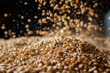 Obraz premium Wheat grains falling on a pile against black background