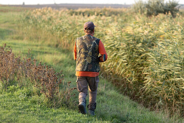 Mature hunter man holding a shotgun and walking through a field