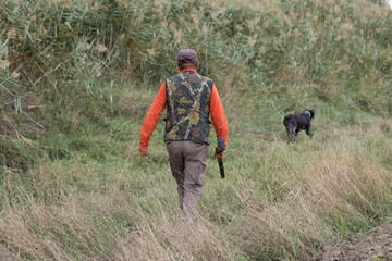 Mature hunter man holding a shotgun and walking through a field