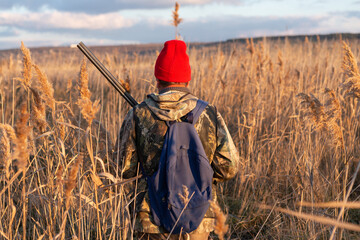 Mature hunter man holding a shotgun and walking through a field
