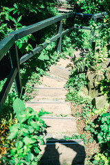 熱海の美しい庭園と海の風景