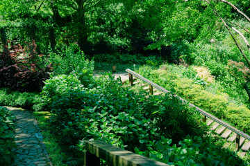 熱海の美しい庭園と海の風景