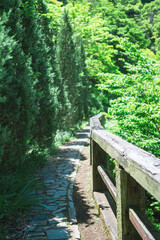 Fototapeta premium 熱海の美しい庭園と海の風景