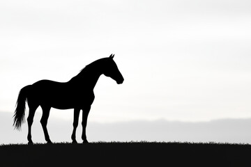 A silhouette of a horse standing majestically against a soft, cloudy backdrop.
