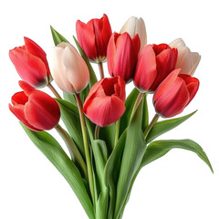 Fototapeta premium A bright bouquet of tulips