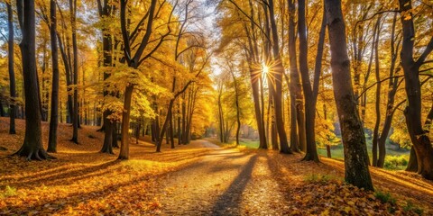 Fototapeta premium A serene autumn forest with golden light filtering through the trees surrounding the picturesque Puckoriu atodanga in Vilnius