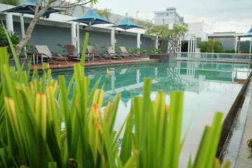 A swimming pool with lush green plants in the foreground, creating a refreshing and tropical ambiance