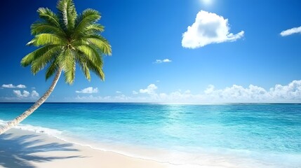 Stunning Tropical Beach Scene with Palm Tree and Turquoise Ocean