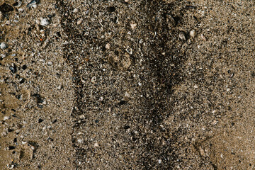 texture of the sand