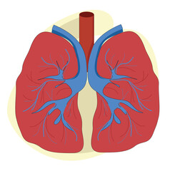 Healthy lungs.World Lung Cancer Day,  