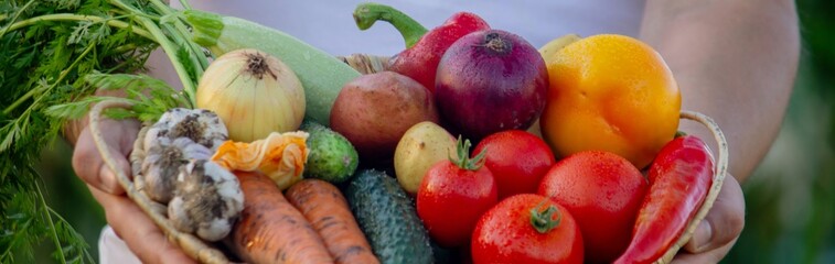 man holding fresh vegetables in his hands. Selective focus