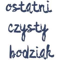 A visually striking image of the Polish phrase written in a hand-drawn, textured, navy-blue script font against a plain white background.

