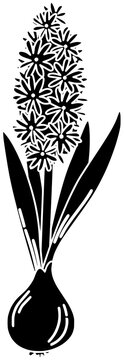 recommend clip art: hyacinth illustration decoration silhouette plant logo floral icon flower outline nature spring blossom flora garden beautiful botanical bouquet bloom shape with vector graphic background