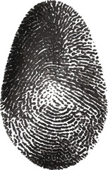 Detailed Black Fingerprint in White Background &ndash; Grunge Thumbprint Sign and Fingerprint Silhouette for Identity Graphic and Digital Illustration
