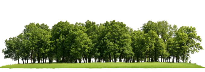 Trees island isolated on transparent background