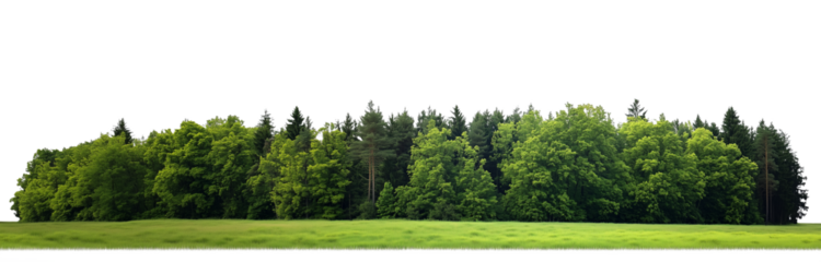Trees island isolated on transparent background