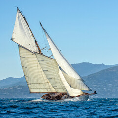 Sailing yachts regatta. Yachting. Sailing race	