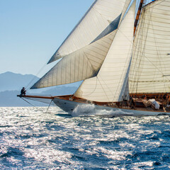 Sailing yachts regatta. Yachting. Sailing race	