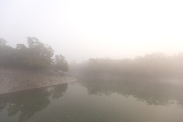 Fototapeta premium A foggy morning at Sundarban tiger reserve, India