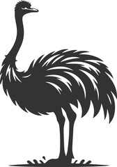 Ostrich standing tall with neck stretched animal silhouette vector