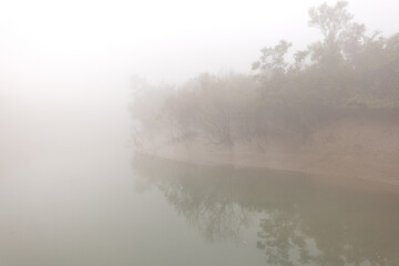 Fototapeta premium River channel and mangrove forest of Sundarban tiger reserve in a foggy morning, India