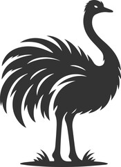 Ostrich standing tall with neck stretched animal silhouette vector