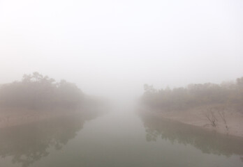 Fototapeta premium River channel and mangrove forest of Sundarban tiger reserve in a foggy morning, India