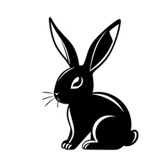 Black and White Rabbit