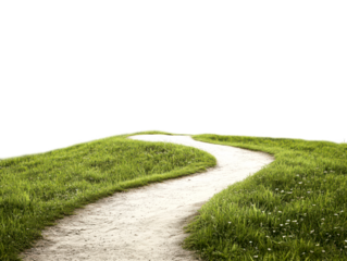 Winding Pathway Through Lush Green Grass Landscape in Nature Scene